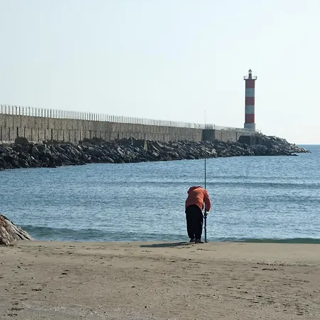 Lägenhet T2 Renove Climatise, Proche Plage, 4 Pers, Animaux Admis - Fr-1-797-5
